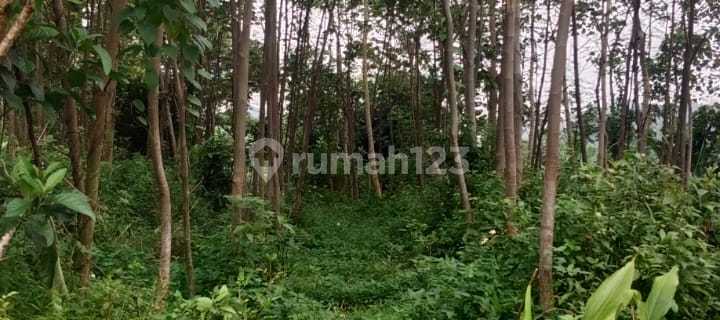 Tanah Strategis di Ungaran Timur Free Biaya Notaris 1