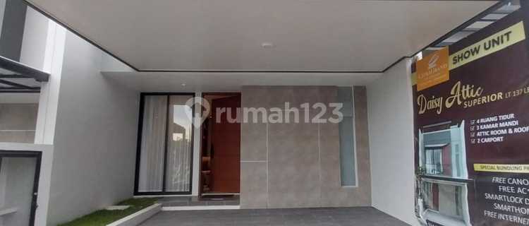 Citragrand - Cluster Red Terracotta Type Daisy 1