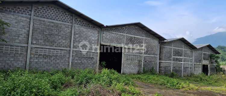 Warehouse in a Strategic Area on the Side of the Semarang-Ungaran Main Road 1