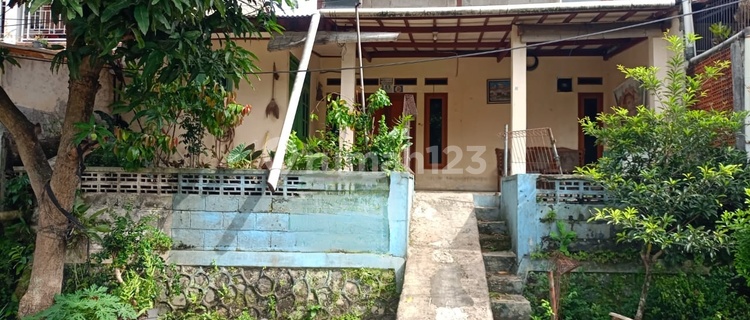 Tall and Shady House, Wide View Ahead 1