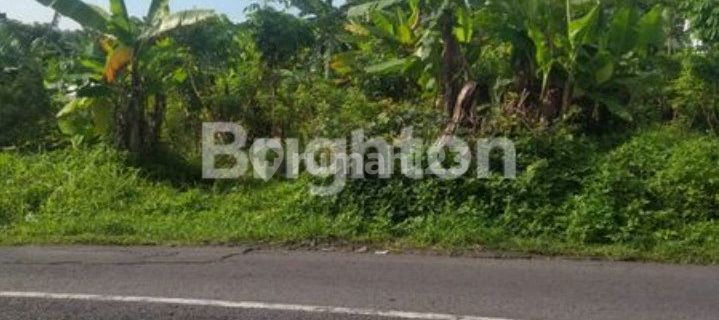 Tanah di Pudak Payung Semarang 1