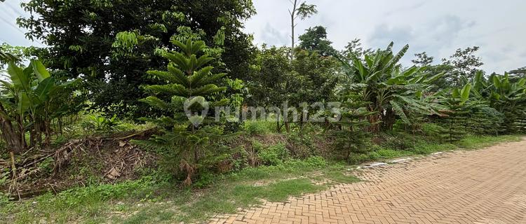 Strategic Land Near Candi Semarang Industrial Area 1