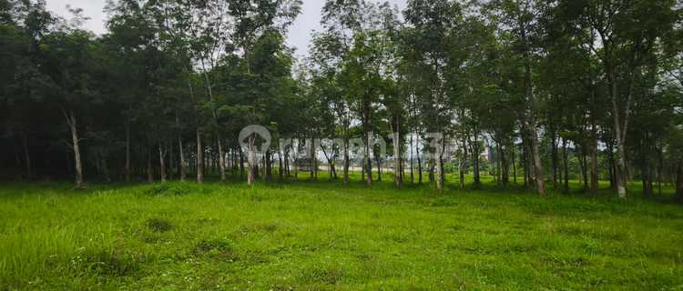 Strategic Yellow Zone Land Suitable for Housing 1