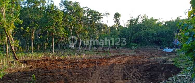 Cheap Land Suitable For Gardens & Stables 1