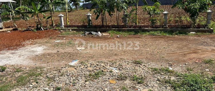 Land for Sale 1