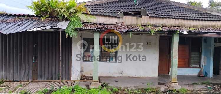 Rumah Tua di Jalan Elang Raya 1
