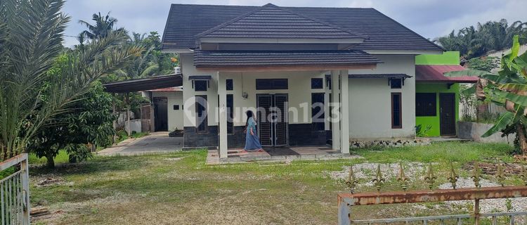 Dijual Rumah Nyaman + Tanah Luas di Sialang Kubang - Kampar 1