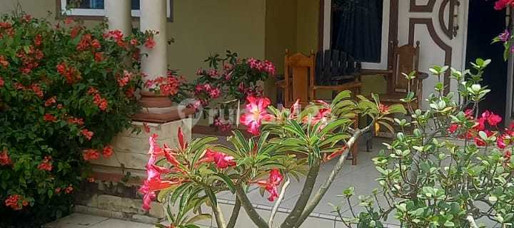 Rumah Luas + Kontrakan di Leuwiliang Bogor - Investasi Strategis 1