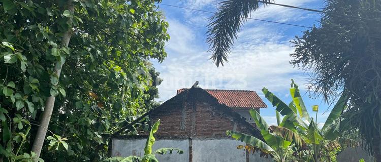 Dijual Rumah Murah Wanareja 1