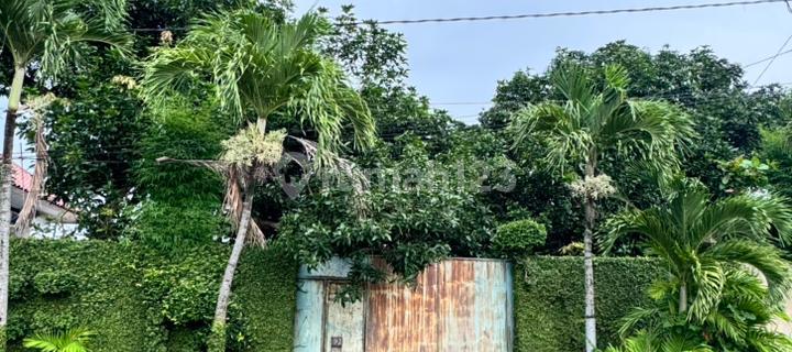 Tanah Strategis dan Luas di Kawasan Lempongsari Dekat dengan Gerbang Tol Gayamsari 1