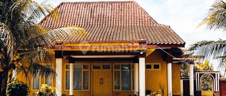 Special Joglo House, Modern, In the Center of Blitar City 1