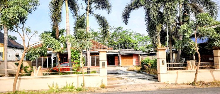 Tanah Bonus Rumah, Pinggir Jalan Raya Besar 1