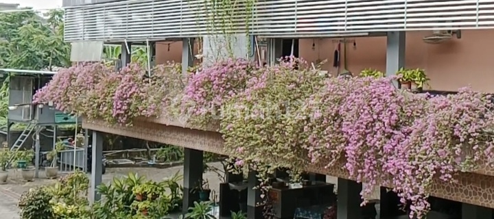 Active Boarding House Ready to Operate 1