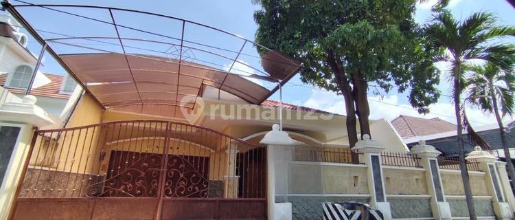 Manyar Kartikaw 4 Luxury Cars 1