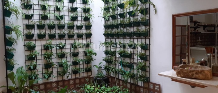 Disewakan Rumah Menteng Pinggir Bagus Jakarta Pusat 1