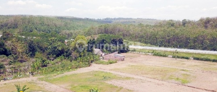 Smart Investing: 10,000 M² SHM Land Near Kaliwungu Toll Exit, Semarang - High ROI Potential 1
