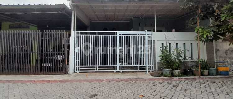 Minimalist House Already Higher Than the Road 1