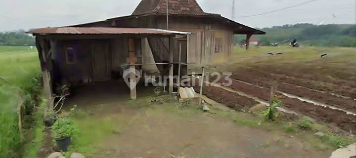 Lelang Kavling dan Rumah Joglo di Podorejo Ngaliyan 1