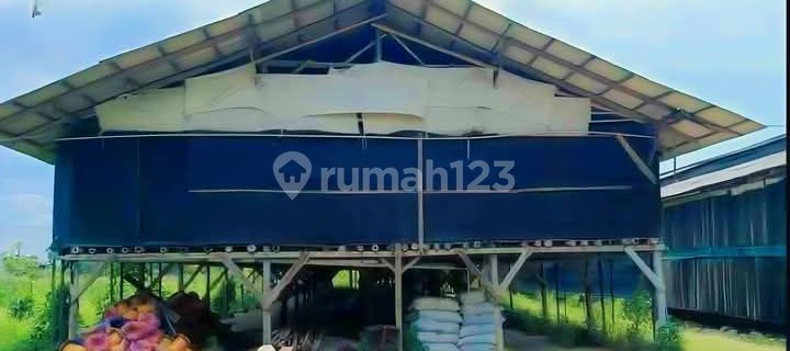 Lelang Kandang Ayam Pengandon Kendal Ruang-Usaha 1