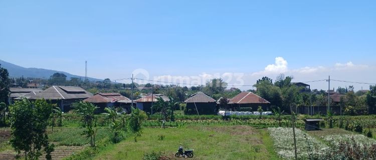 Tourism Area Special Discount Villa Pitu Metro Roadside 1