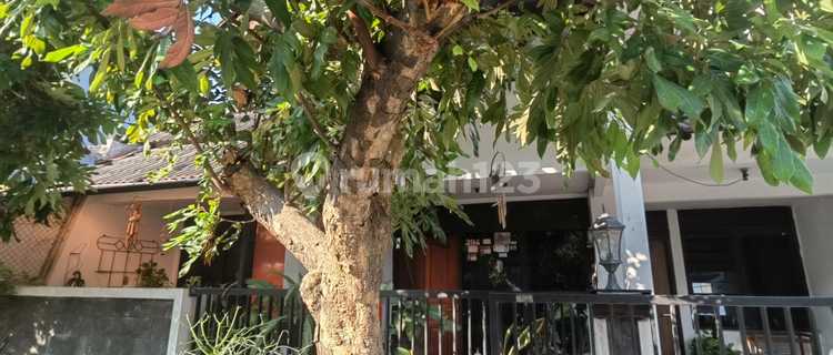 Rumah, 1 Lantai, SHM, di Pedurungan 1