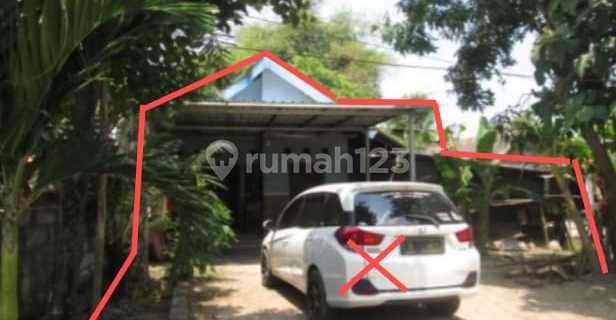 House For Sale, In Dengok Padangan Village, Bojonegoro 1