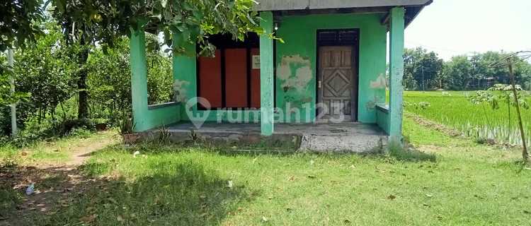 For Sale, House in Warujayeng Village, Nganjuk 1