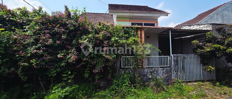Di Jual Rumah,Di Desa Tanjung Lamongan 1