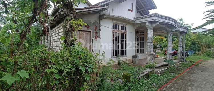 Di Jual Rumah,Di Kelurahan Sendang Senori Tuban 1