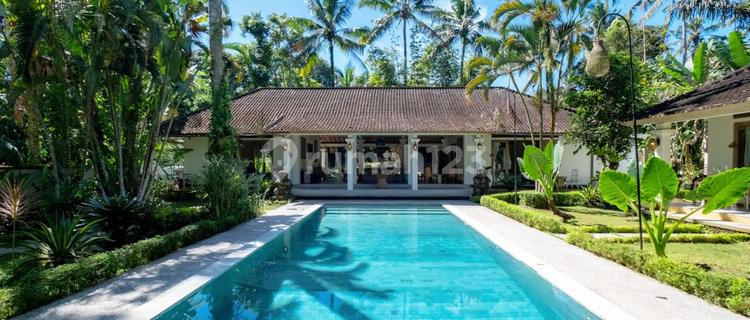 Villa Price Reduction Located in Bersela Payangan Ubud Bali Near Kayon Forest 1
