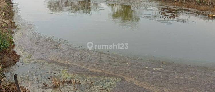 Dijual Kavling Ex Tambak di Jalan Ds Tebaloan, Duduk Sampeyan Gresik Lamongan jawa Timur lal  1