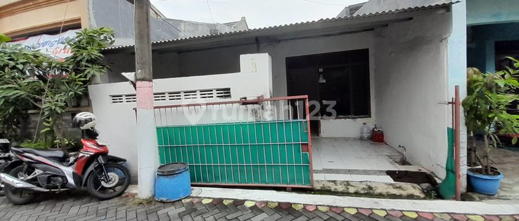 Disewakan Rumah Strategis di Tlogosari Dekat Pusat Kota Semarang 1