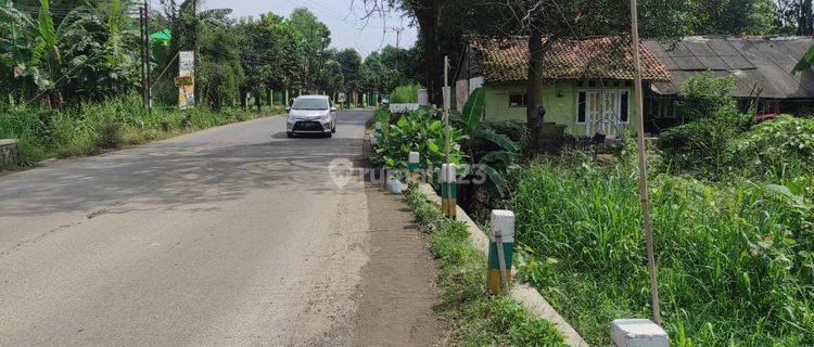 Tanah 16.357 M2 di Kp Babakan, Cibarusa Kota, Bekasi 1