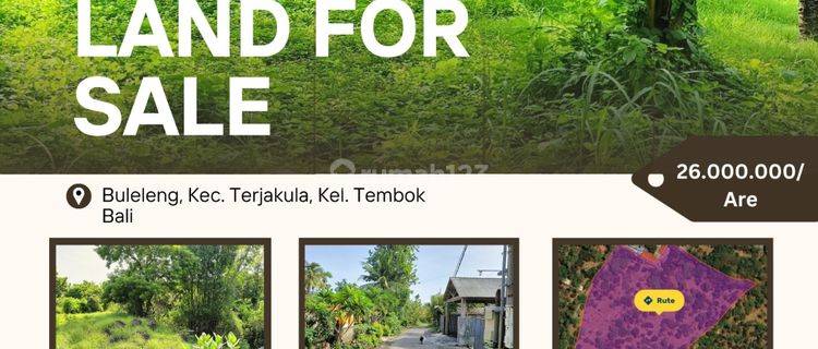 Land For Sale in Tejakula Tembok Buleleng 1