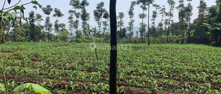 Jual Tanah Arjasari Cocok Untuk Kebun Sayuran 1