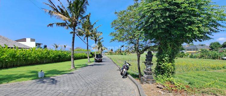 tanah di dekat sanur, walking distance ke pantai ketewel 1