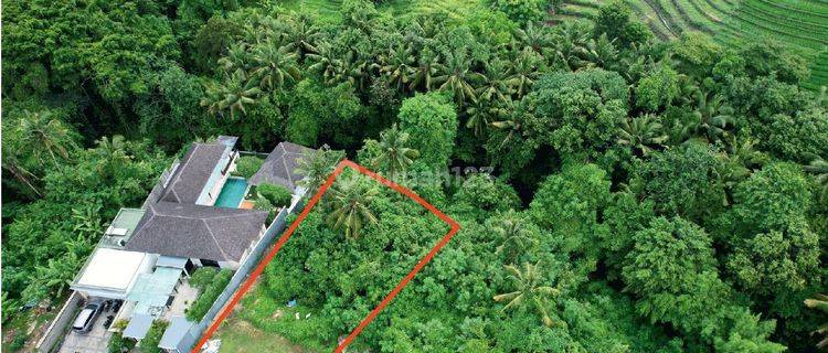 River View Land Near Canggu For Perfect Roi Villa  1