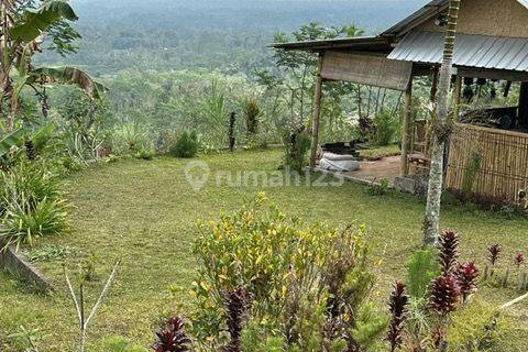 Land in besakih  1