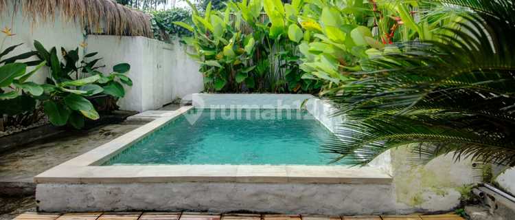 Dijual - 3Bedroom Villa di Desa Punggul - Ubud 1