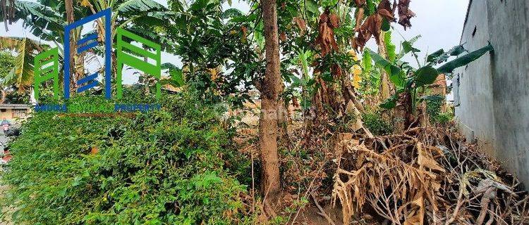 Tanah pekarangan di banyudono dekat jalan raya dan gerbang tol 1