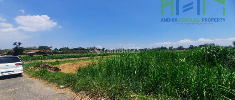 Sawah Murah Belakang Pom Bensin teras Boyolali 1