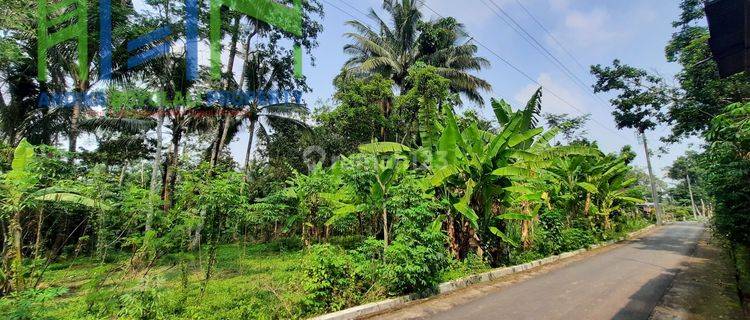 Tanah pekarangan Murah Di Sidomulyo Ampel Boyolali 1