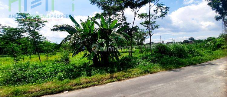 Tanah Prospektif Dekat Jalan Raya Banyudono Boyolali 1