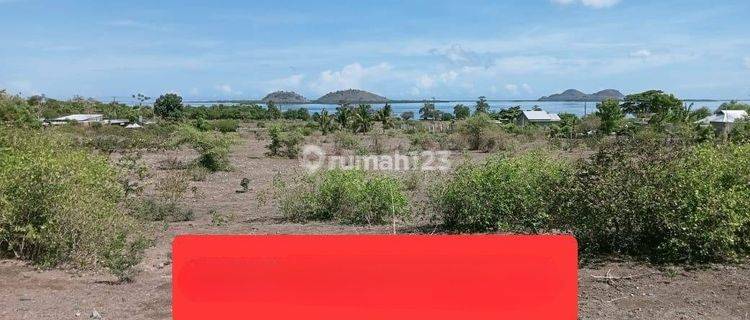 Dijual Tanah di Sumbawa Barat Dkt Pelabuhan Poto Tano Ntb 1