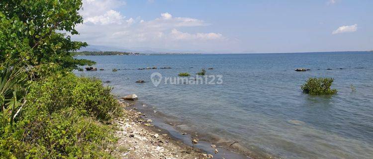 Dijual Tanah Los Pantai di Sumbawa Utan Nusa Tenggara Barat 1