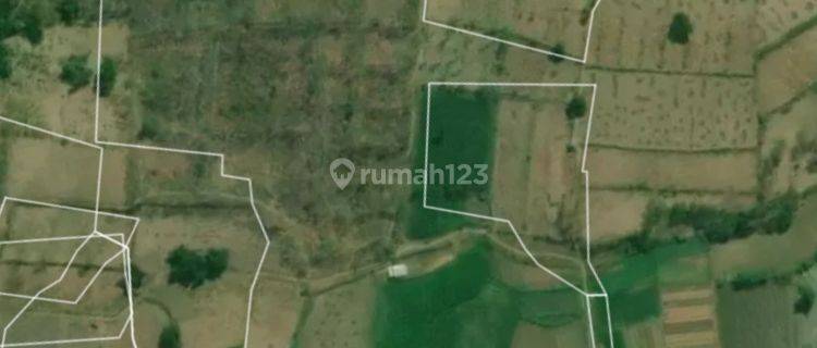 Dijual tanah 6,4 hektare di Bancar Tuban Jawa Timur 1