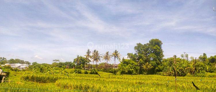 Dijual Tanah 20 Are di Jl Ida Bagus Mantra Dkt Pantai Siyut 1