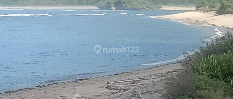 Dijual Tanah Los Pantai Sekongkang Sumbawa Barat Ntb 1