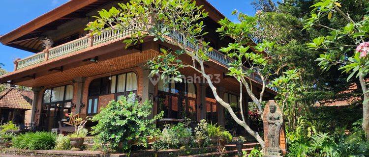 Villa view sawah di Pejeng dekat ke Ubud Gianyar Bali 1