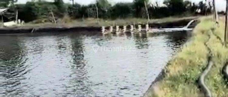 Dijual Tanah Tambak di Jenu Tuban Jawa Timur 1